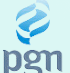 Logo PGN
