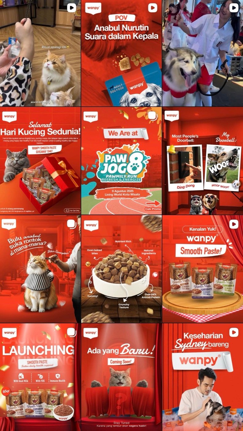 Paid & Organic Campaigns Across Brand Accounts — Consumer Brand Campaigns